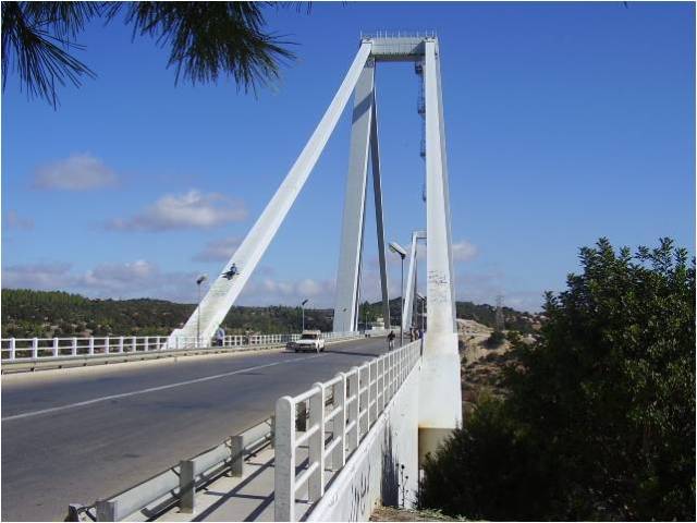 If you see carefully, there is a young man using this bridge as a slide