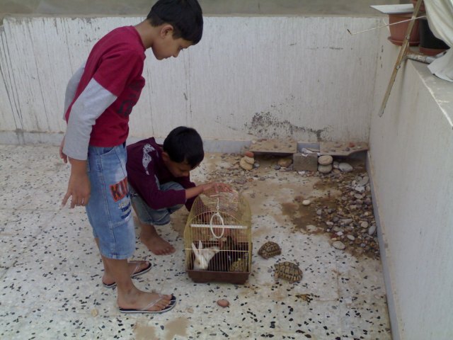 Friends on my Back terrace-