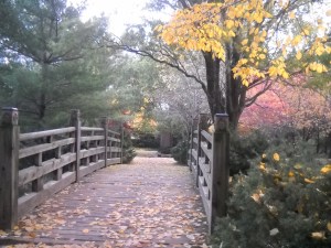 Father's Day Walk-The many colours of life