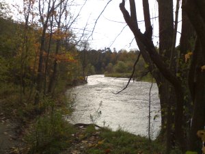 Blog-23-11-2013-Riverwood-Ontario