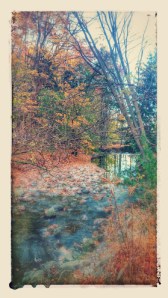 Wilket Creek Park Central Don Toronto