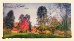 Sunny Brook Park, Central Don-Toronto