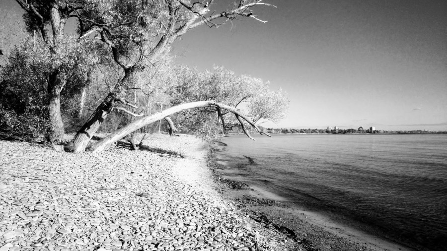 Rattray Marsh-Port Credit-Mississauga-2016-Fall