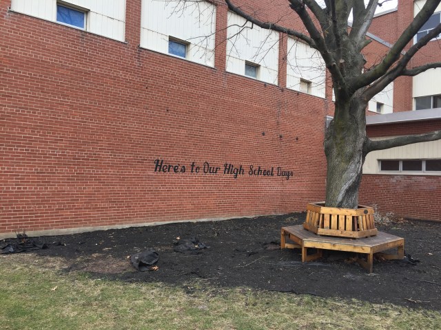 C8F91972-7FB6-4B74-8734-A8B8AF10FD08