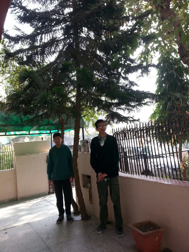 278AE8F6-1206-4507-A769-8435C328A466