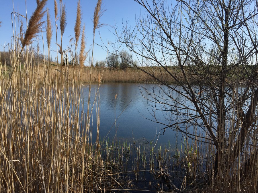 THINKING PLACES-JAN'S TRAIL-MISSISSAUGA