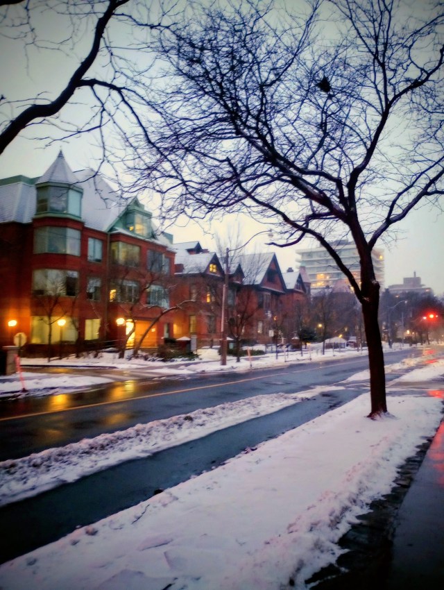 Elements on a Winter Evening-Toronto-Dec 2025